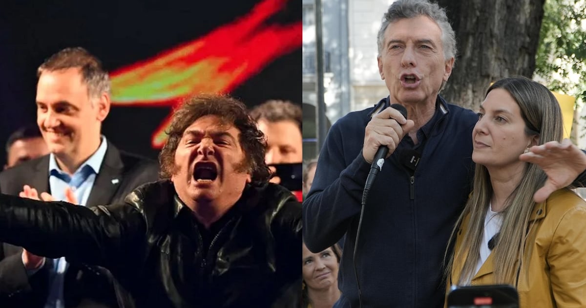 Guerra declarada: El PRO le canta “desagradecido” a Milei tras el insulto de “amarillos fracasados” y se rompe la alianza