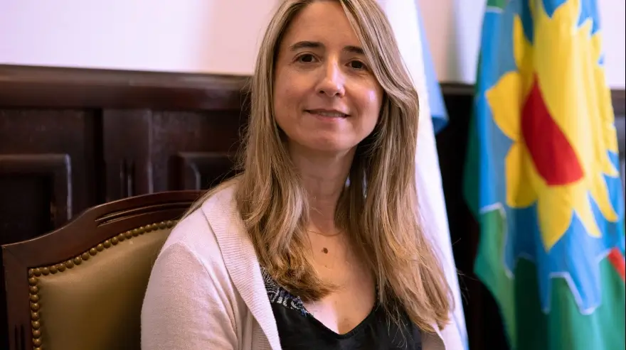 Flavia Delmonte corrupción Senado